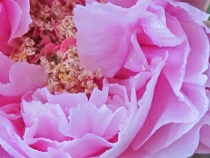Preview - Click to zoom